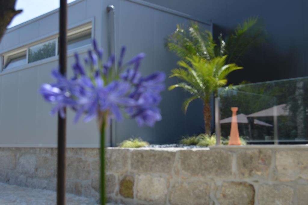 Quinta Das Tulipas Villa Barcelos Dış mekan fotoğraf