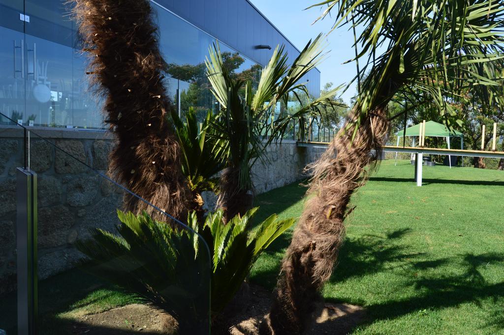 Quinta Das Tulipas Villa Barcelos Dış mekan fotoğraf
