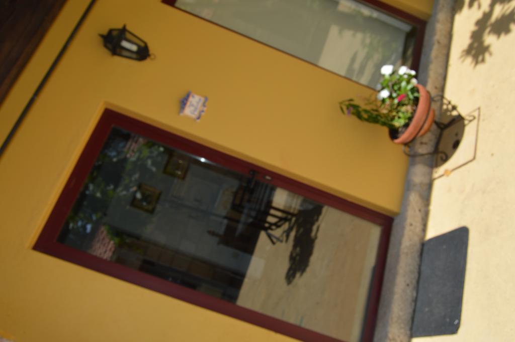 Quinta Das Tulipas Villa Barcelos Dış mekan fotoğraf